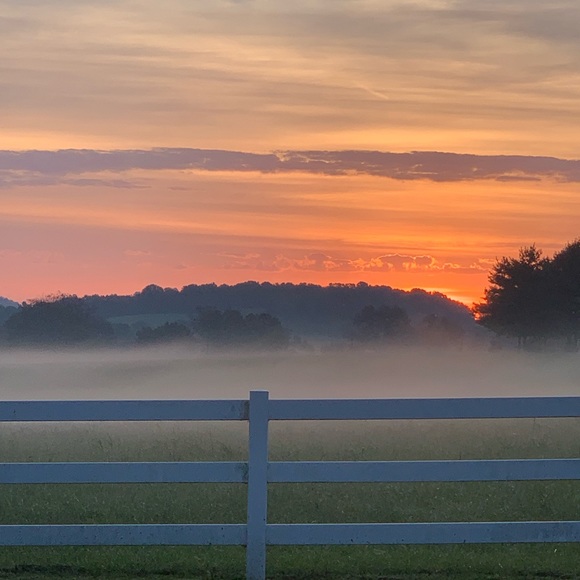 Meet your Posher, Janine - Picture 4 of 14